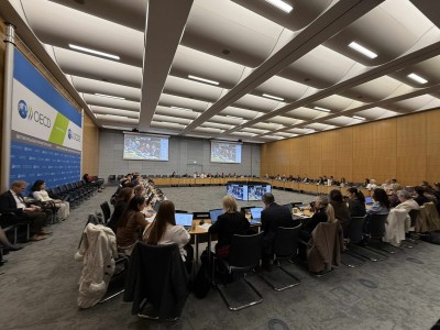 OECD (9).jpg